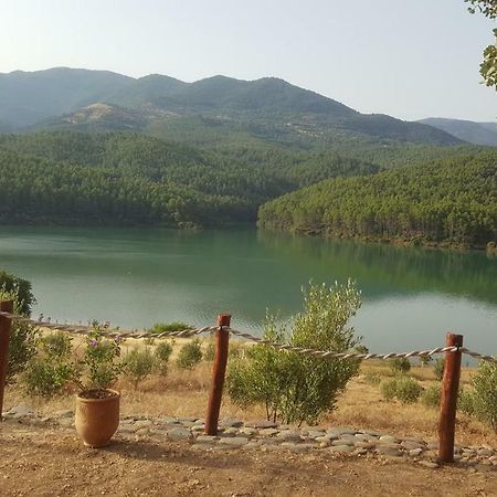 Relais De Tahla Hotell Aïn Bou Mahdi Exteriör bild